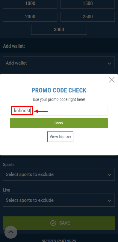 Applying a promo code on the 1xBet website