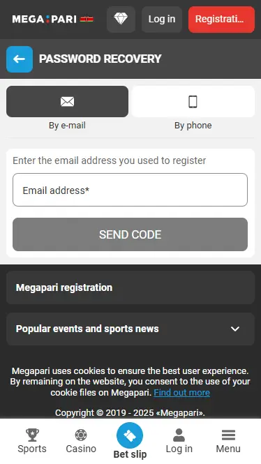 Password recovery by e-mail