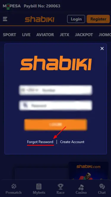 Shabiki Restore Access