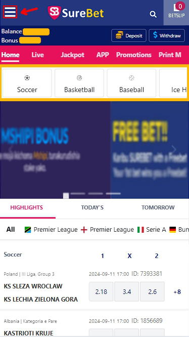 surebet mobile version