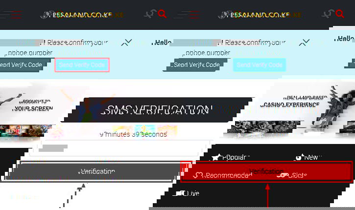pesaland verification