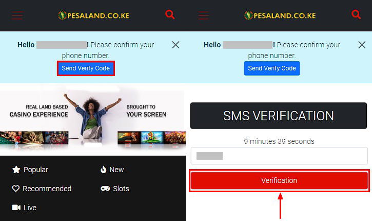 pesaland verification